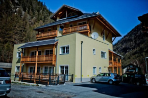 Residenz Zwieselstein App.11